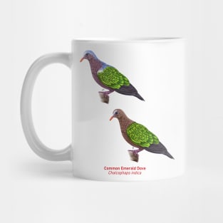 Asian Emerald Dove | Chalcophaps indica ⚥ Mug